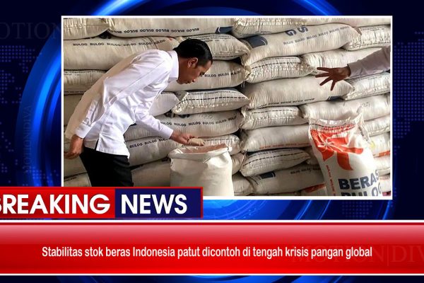 Stabilitas Stok Beras Indonesia